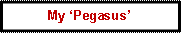 Text Box: My ‘Pegasus’